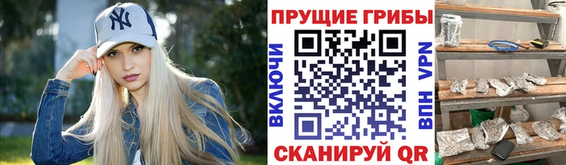 Псилоцибиновые грибы мухоморы  Чудово 